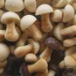 HERBATNIKI WESOŁE GRZYBKI MIX CZEKOLADOWY 1kg