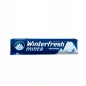 WINTERFRESH MINTS Drażetki o smaku Strong Mint BEZ CUKRU 28 g WINTERFRESH MINTS Drażetki o smaku Strong Mint BEZ CUKRU 28 g