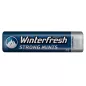 WINTERFRESH MINTS Drażetki o smaku Strong Mint BEZ CUKRU 28 g WINTERFRESH MINTS Drażetki o smaku Strong Mint BEZ CUKRU 28 g